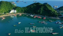 Gìn giữ Cát Bà xanh để phát triển bền vững