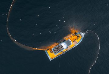 Hai Phong drastically implements urgent tasks against IUU fishing, determined to remove the 