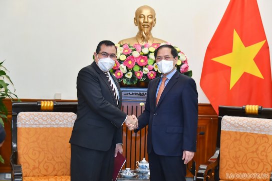 Bộ trưởng Ngoại giao Bùi Thanh Sơn tiếp Đại sứ Panama chào xã giao