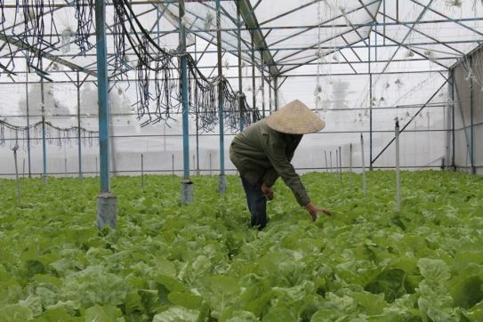 Thủ tướng Chính phủ ban hành quy định về ưu đãi đầu tư đặc biệt