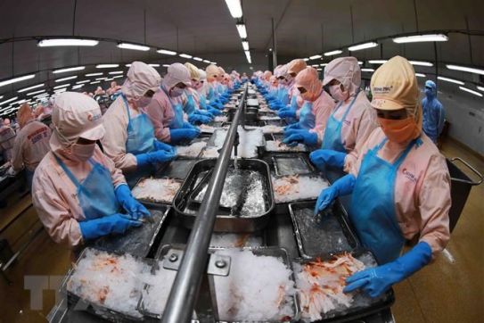 Mở rộng hợp tác, tiến tới đàm phán FTA Việt Nam-Moldova