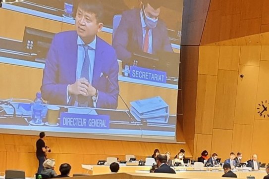 Việt Nam đề nghị WIPO tiếp tục giúp đỡ trong việc thực hiện Chiến lược sở hữu trí tuệ quốc gia