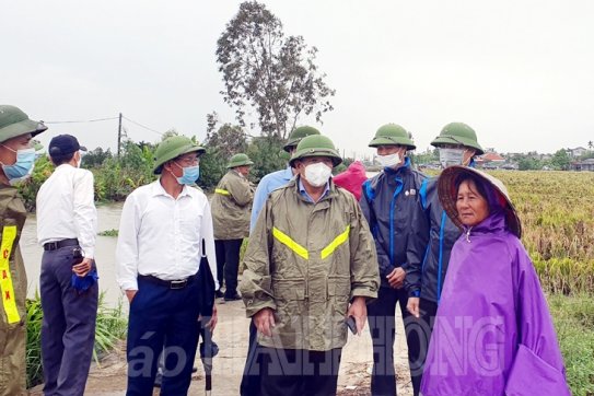 Huyện Vĩnh Bảo: Khẩn trương thu hoạch diện tích lúa, rau màu vụ mùa