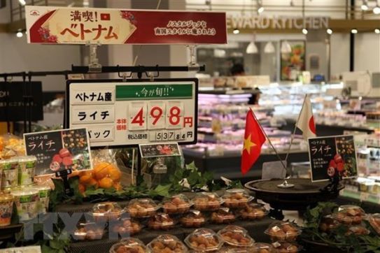 Vietnam’s agricultural product exports shine despite pandemic