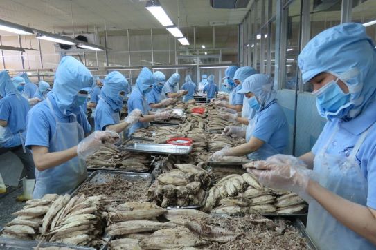 “5 không” cho doanh nghiệp Việt khi kinh doanh tại EU