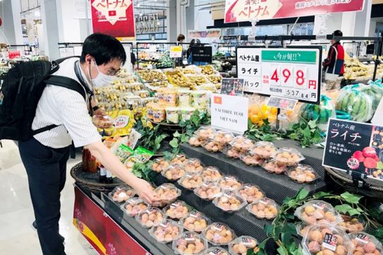 Doanh nghiệp Việt kiều: Cầu nối đưa nông sản vươn xa
