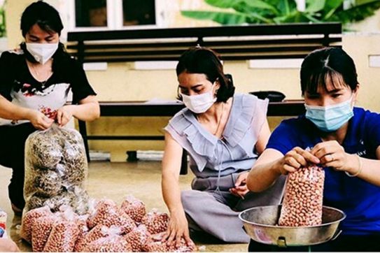 Hội Nông dân thành phố kêu gọi toàn thể cán bộ, hội viên và nông dân quyên góp ủng hộ lương thực, thực phẩm hướng về miền Nam ruột thịt