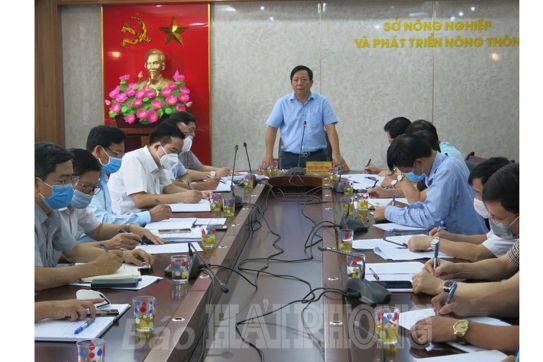 Sớm tham mưu chính sách, cơ chế xây dựng nông thôn mới kiểu mẫu, phát triển nông nghiệp, thủy sản giai đoạn 2021-2025