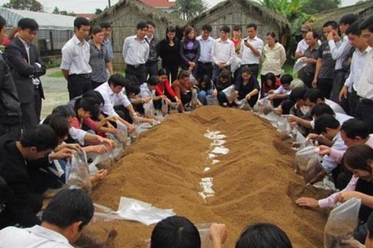 Cấp thiết đào tạo nghề để xây dựng lớp nông dân thế hệ mới