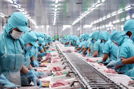 Xuất khẩu thuỷ sản sang EU tăng mạnh nhờ “đòn bẩy” EVFTA