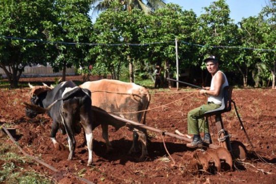 Việt Nam hỗ trợ Cuba phát triển sản xuất nông nghiệp, thủy sản