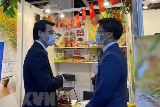 Vietnam looks to expand cooperation with Hong Kong