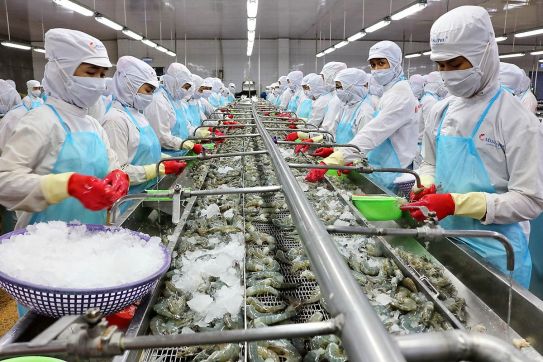 Thúc đẩy phát triển quan hệ hữu nghị, hợp tác nhiều mặt giữa Việt Nam và Chile