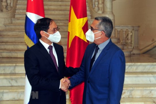 Bộ trưởng Bùi Thanh Sơn gặp gỡ lãnh đạo Bộ Ngoại giao các nước