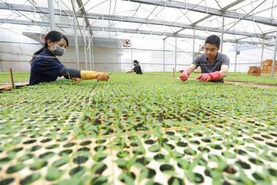 Những đề xuất để hệ thống hợp tác xã 'không bị bỏ lại phía sau'