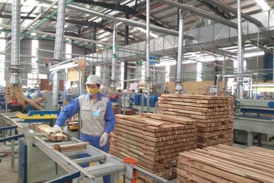 Vietnam’s wood product export to France, Europe has good prospect
