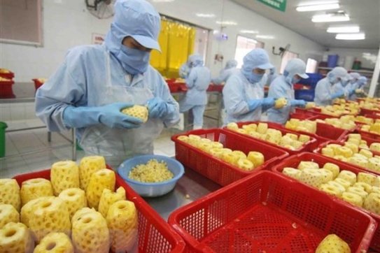 EVFTA fuels Viet Nam’s imports from EU