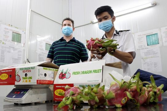 Hoa Kỳ - Thị trường tiềm năng của trái cây Việt Nam