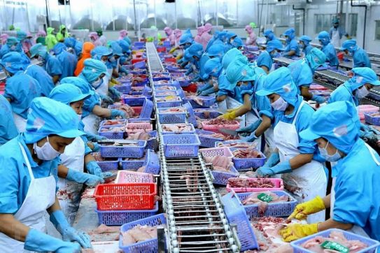 Tận dụng CPTPP để xuất khẩu nông, thuỷ sản vào Nhật Bản