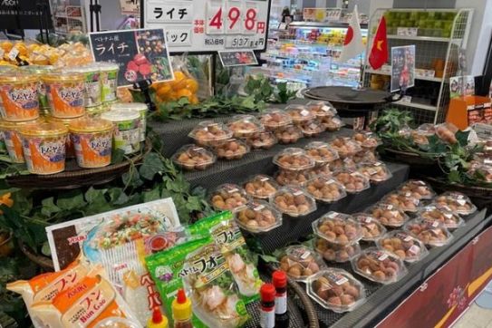 Doanh nghiệp Nhật tăng nhập hàng hóa từ Việt Nam