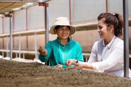 King Coffee announces project connecting farm produce suppliers