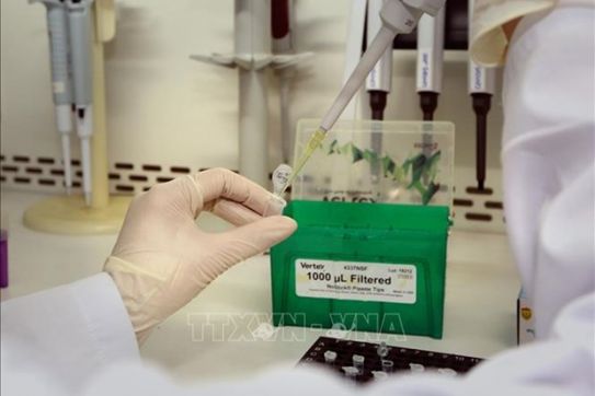 Germany presents more rapid test kits to Vietnam