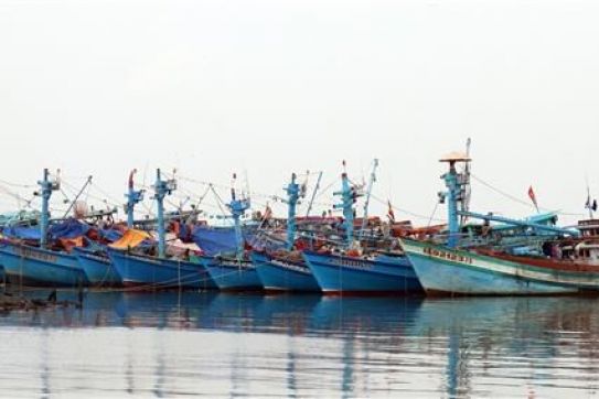 "Thẻ vàng" IUU có tác động kinh tế như thế nào với ngành thủy sản?