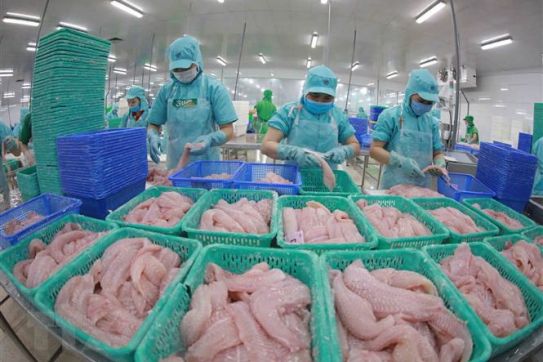 Làm sao để Việt Nam trở thành trung tâm chế biến thủy sản hàng đầu?