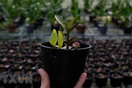 Một số chính sách kinh tế chính thức có hiệu lực từ tháng Tám