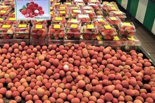 Vietnamese firms urged to file for IP protection in foreign markets