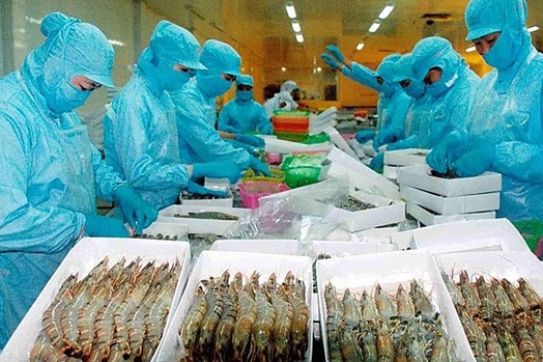 越南水产品出口呈复苏态势