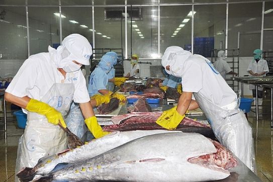 Việt Nam – Israel: Nhiều tín hiệu tích cực trong trao đổi thương mại 6 tháng đầu năm