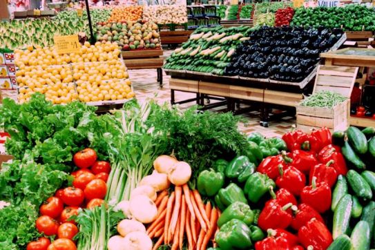 Chống giả mạo sinh học cho nông sản Việt: Nhìn từ cuộc chiến pháp lý của Ấn Độ