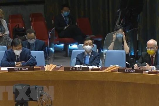 Việt Nam ủng hộ giải pháp chính trị toàn diện, bầu cử đúng hạn ở Libya