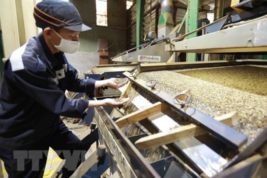 Tiềm năng lớn của nông sản hữu cơ của Việt Nam tại Xứ sở Chuột túi