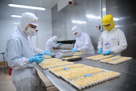 Mặt hàng tôm Việt Nam giữ vị thế số 1 tại nhiều thị trường