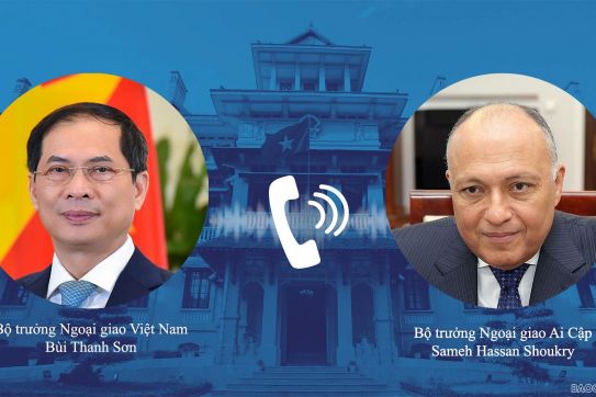 Việt Nam-Ai Cập nhất trí thúc đẩy hợp tác song phương và tại các diễn đàn đa phương
