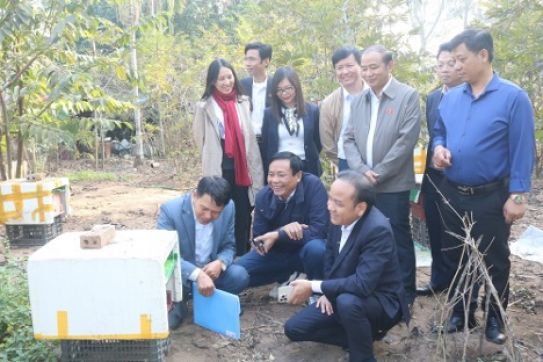 三大核心目标助力海防市在2025年实现新农村建设目标