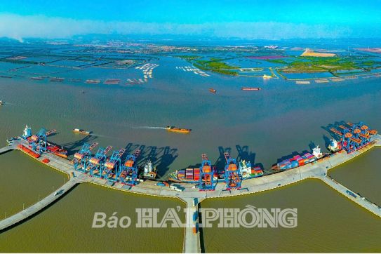 Catching the “New Wind” to Reach Global Seas