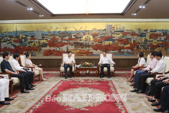 Chinese Business Delegation Seeks Investment Cooperation Opportunities in Hai Phong
