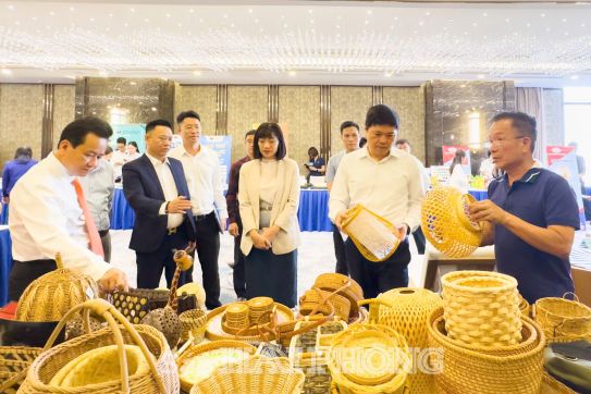 Promoting Cross-Border E-Commerce in Hai Phong