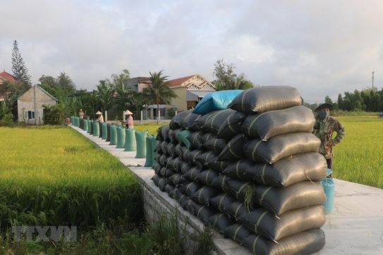 Phát triển kinh tế gắn với công bằng xã hội: Vững tin đường phía trước