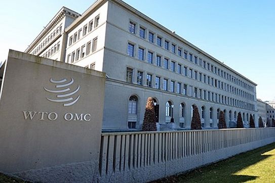 WTO khởi động đàm phán về cung ứng vắc xin Covid
