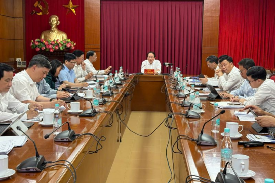 Urgently Implement Tasks for the Construction and Development of the Southern Economic Zone