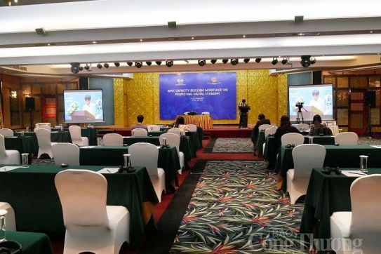 Workshop seeks ways to promote digital economy in APEC members