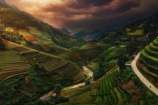 Picture of Vietnamese rice terraces enters prestigious photography contest