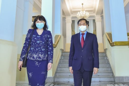 Foreign Minister: Vietnam wishes to further deepen ties with Romania