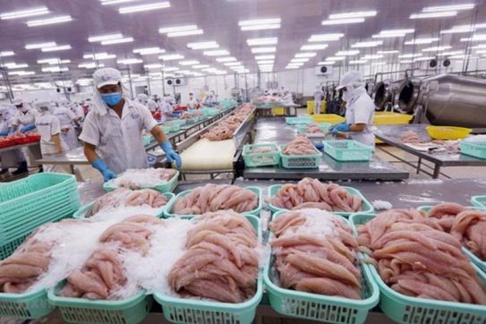 Xuất khẩu thủy sản đang dần khôi phục nhờ nới lỏng giãn cách
