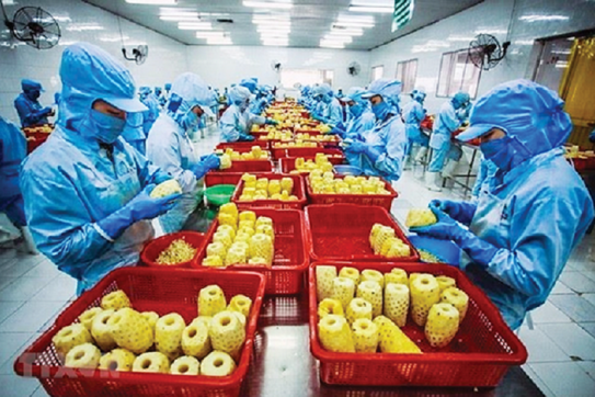"Dọn đường" đưa rau quả sang thị trường châu Âu