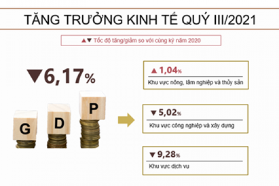 Giải pháp phục hồi nền kinh tế Việt Nam năm 2021 do ảnh hưởng từ đại dịch Covid -19